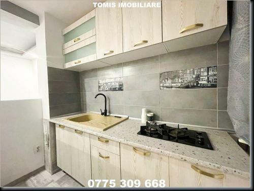 Apartamento Studio Badea Cartan
