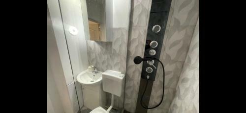 Apartamento Studio Badea Cartan