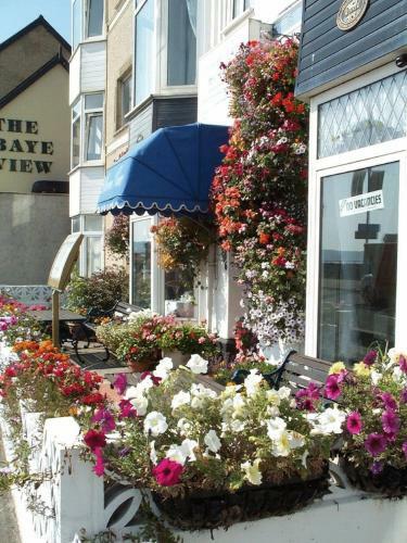 Hostal Devon View Guest House