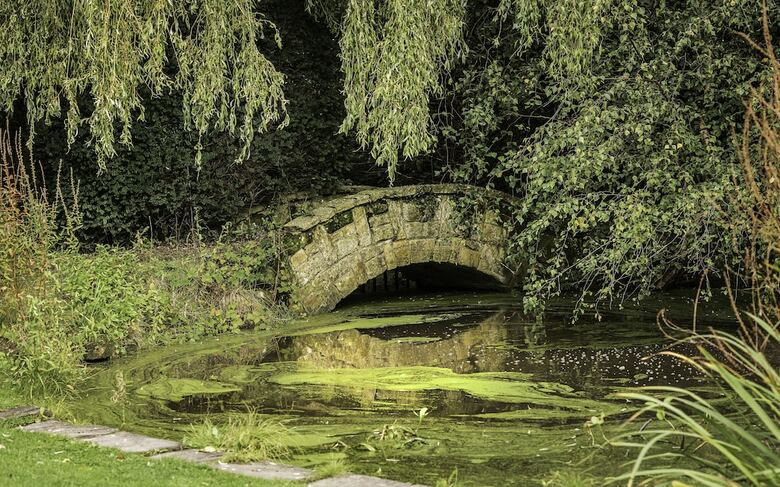 Langshott Manor - A Small Luxury Hotel