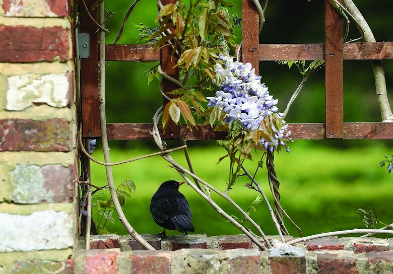 Langshott Manor - A Small Luxury Hotel