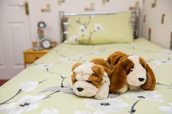 Hostal Four Seasons Guest House