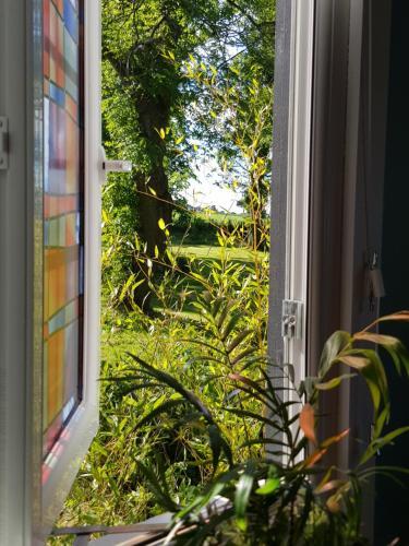 Hostal Morris Guest House