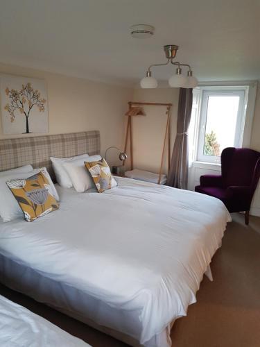Hostal Morris Guest House