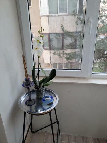 Neversea Apartment