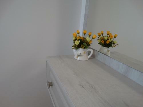 Oni Venus Apartament
