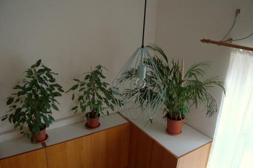 Central Cozy Apartment