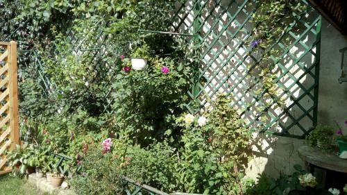 Hostal Cluj Center 2
