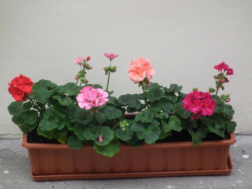 Apartament Bbb48