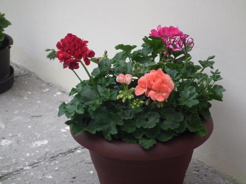Apartament Bbb48