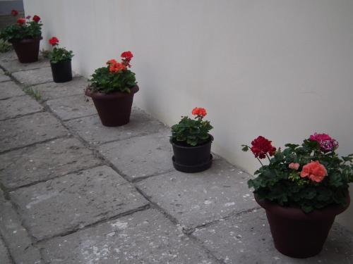 Apartament Bbb48