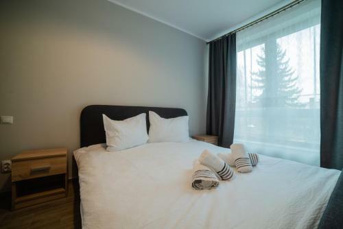 Nuuc Aparthotel Cluj-napoca