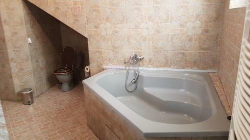Gruia Apartment