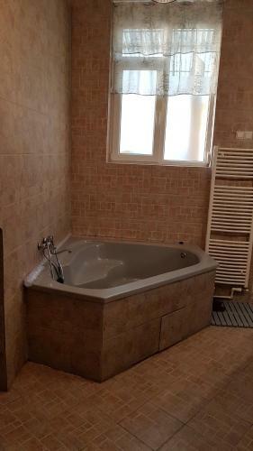 Gruia Apartment