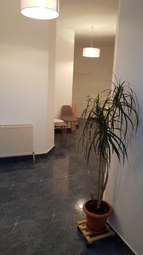 Gruia Apartment