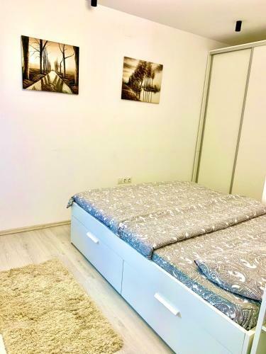 Apartament In Centrul Clujului