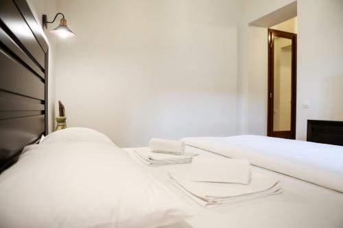 Apartamento Contessa Central Studio