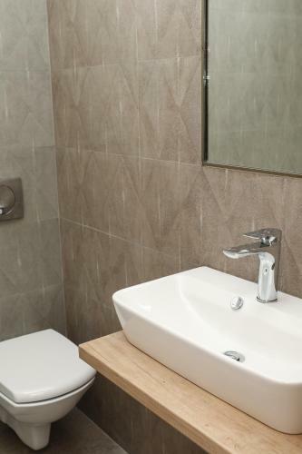 Apartamento Contessa Central Studio
