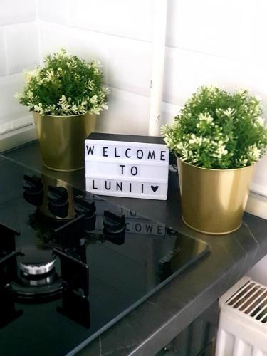 Apartamento Lunii 6