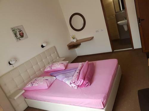 Hostal Pensiunea Diadis
