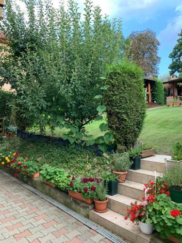 Apartamento Dana House In Central Cluj