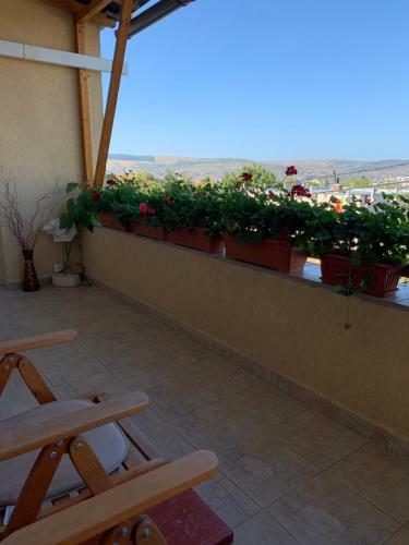 Apartamento Dana House In Central Cluj