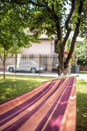Sport Hostel Cluj
