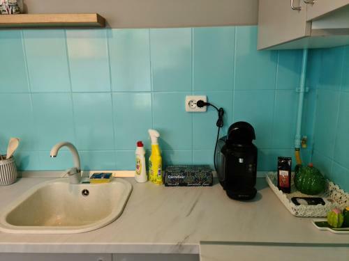 Zorilor Cactus Apartment
