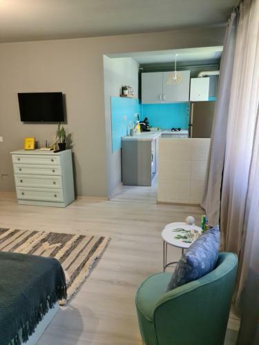 Zorilor Cactus Apartment