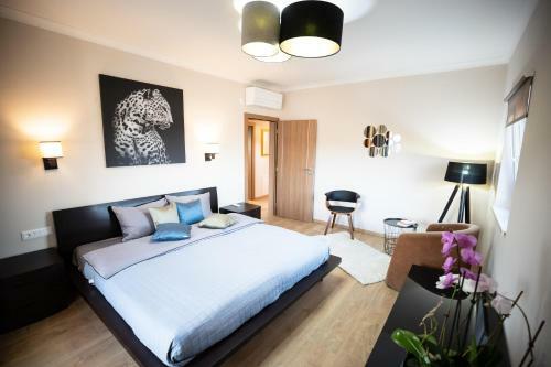 Apartamento The View Cluj