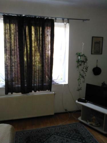 Sun Cluj
