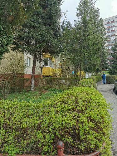 Apartament Maysa