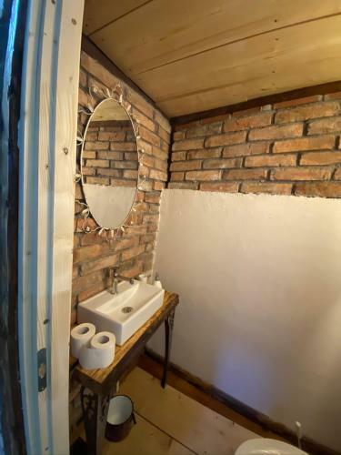 Apartamente A La Cluj