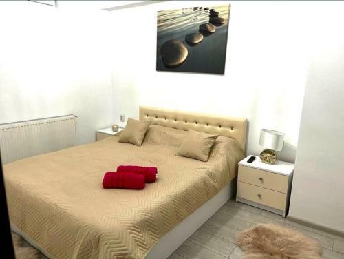 Apartamente Cluj Napoca