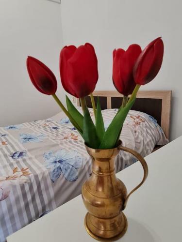 Apartamento Studio Pico