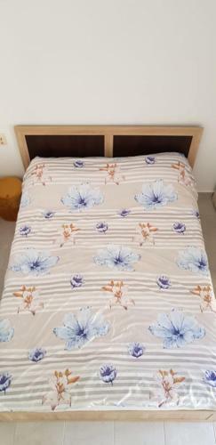 Apartamento Studio Pico
