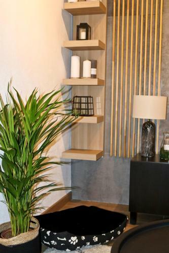 Apartamento Evo Residence