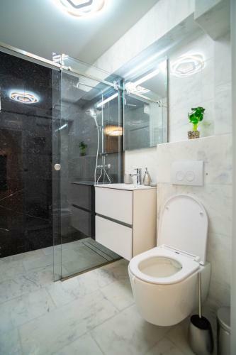 Apartament Central