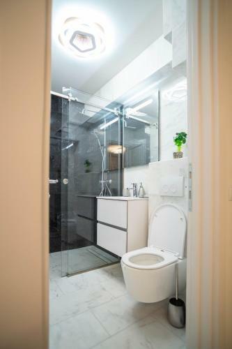 Apartament Central