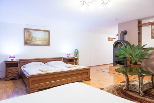 Hostal Ubytovanie Adina Polt�r