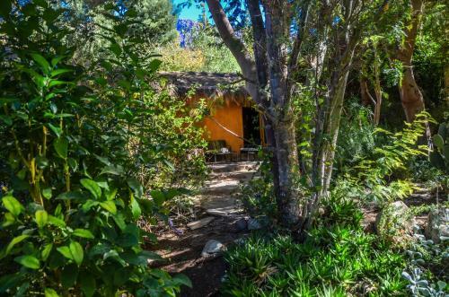 Casa Patay Elqui