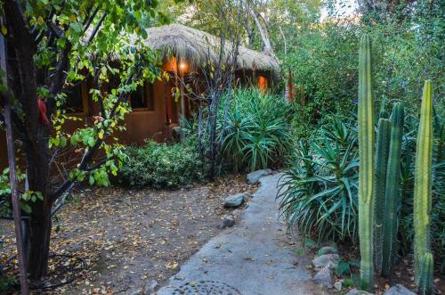 Casa Patay Elqui