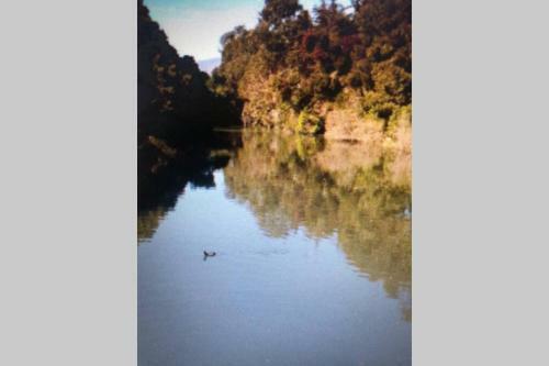 Apartamento Playa, Bosques Y Senderos
