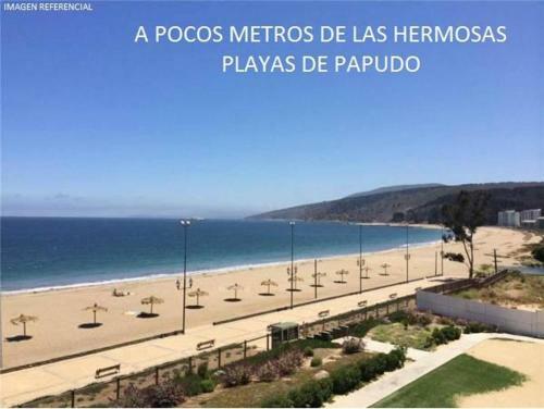 Apartamento Departamento Lomas De Papudo