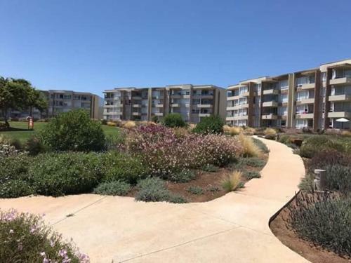 Apartamento Departamento Lomas De Papudo