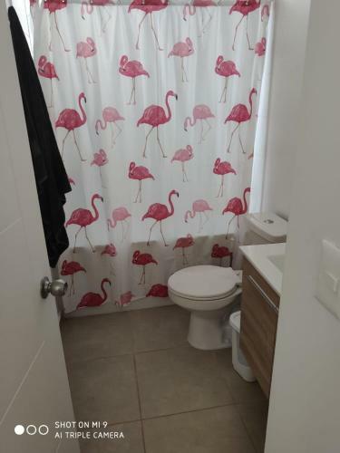 Apartamento Departamento Papudo