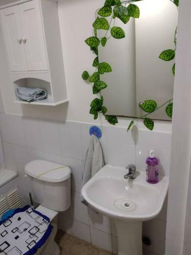 Apartamento Arriendo Depto C�modo Y Bonito