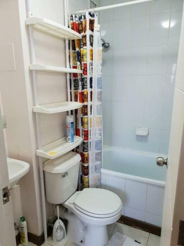 Apartamento C�modo Departamento En Puq #cuidemonos