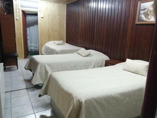 Hostal Copiap� Puerto Montt