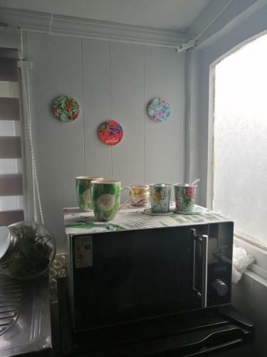 Apartamento Caba�a Punta Arenas